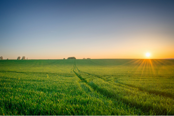 Zones agricoles : sont-elles réservées aux activités agricoles ?