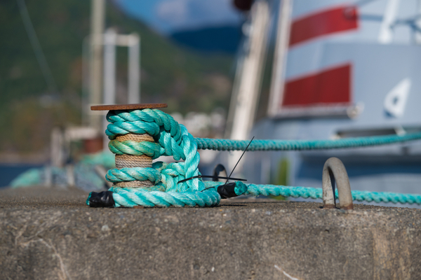 TICFE : un tarif réduit pour certains transporteurs et professionnels de la pêche