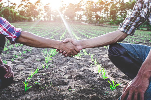 Coronavirus (COVID-19) et Fonds de solidarité : délai supplémentaire pour les groupements agricoles d’exploitation en commun