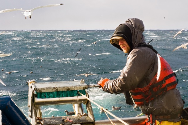 Pêcheurs : du nouveau sur la pesée à bord des navires