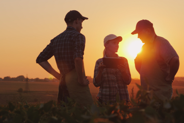 Employeurs agricoles : déclarez l’accident du travail, identifiez le responsable !