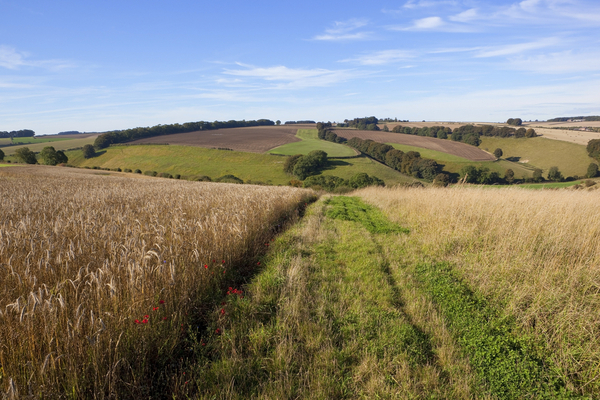 Plan résilience : les agriculteurs doivent produire plus !