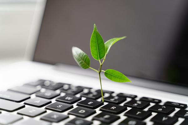 Numérique au travail : des outils pour réduire votre impact environnemental