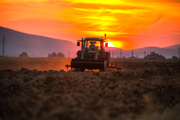 Santé au travail : quelles nouveautés pour le secteur agricole ?