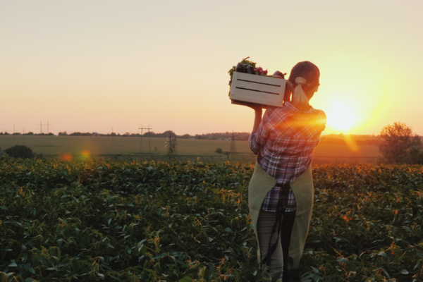 Agriculteurs : des évolutions juridiques à connaître