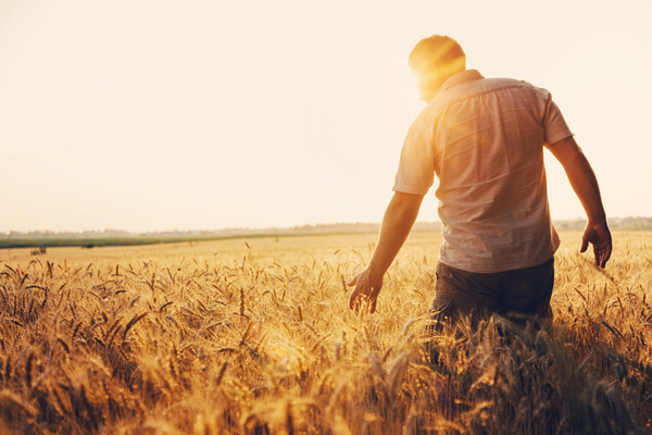 Agriculteurs : du nouveau concernant vos prestations sociales !