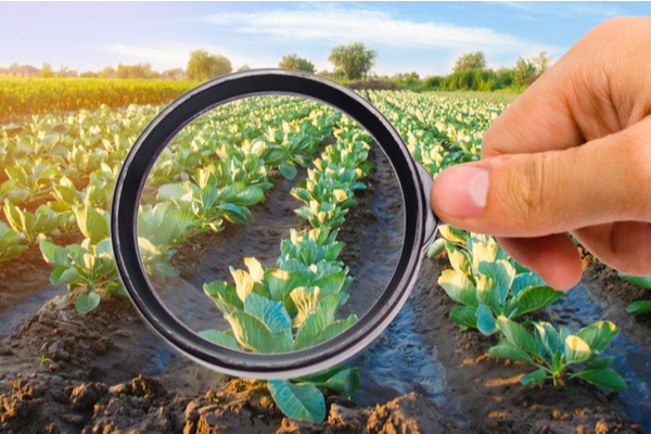 Plan de soutien aux industries agroalimentaires : que contient-il ?