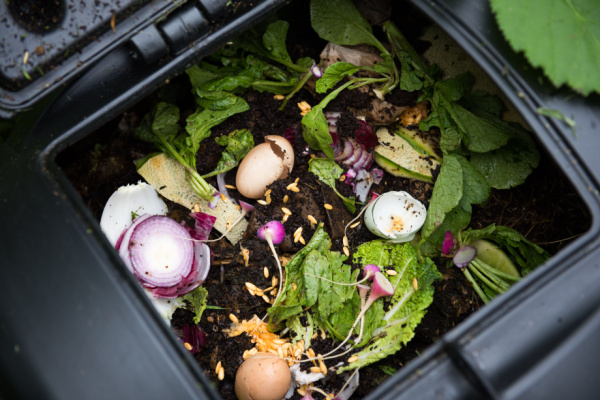 Tri des déchets alimentaires : la nouvelle obligation des particuliers