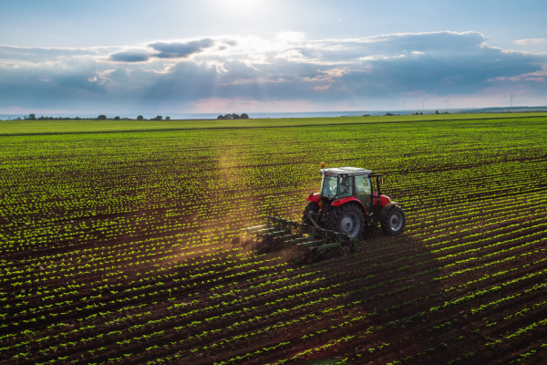 Artificialisation des terres agricoles : la faute à la pression fiscale ?