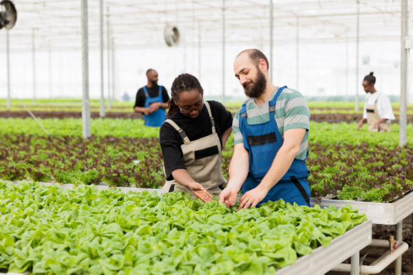 Loi Egalim 3 : de nouvelles évolutions en faveur des agriculteurs