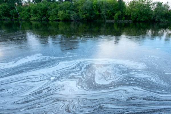 Préjudice écologique : réparation en nature et/ou indemnité ?