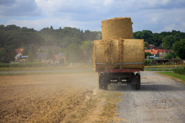 Bail rural et indemnité d’amélioration en fin de contrat : des précisions du juge