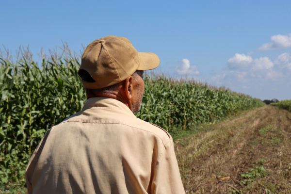 Bail rural : le consentement du bailleur en question…